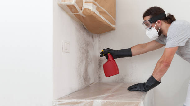 Professional Crawl Space Mold Removal technician working in Efland, NC